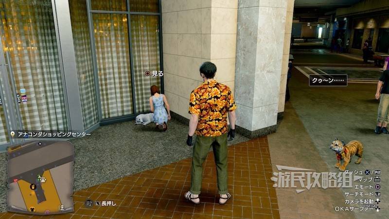 《如龙8外传夏威夷海盗》吾朗王国全动物位置一览,救护动物在哪