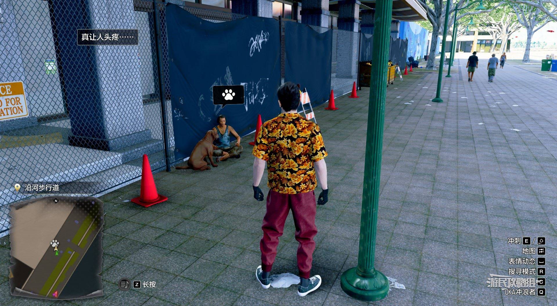 《如龙8外传夏威夷海盗》吾朗王国全动物位置一览,救护动物在哪