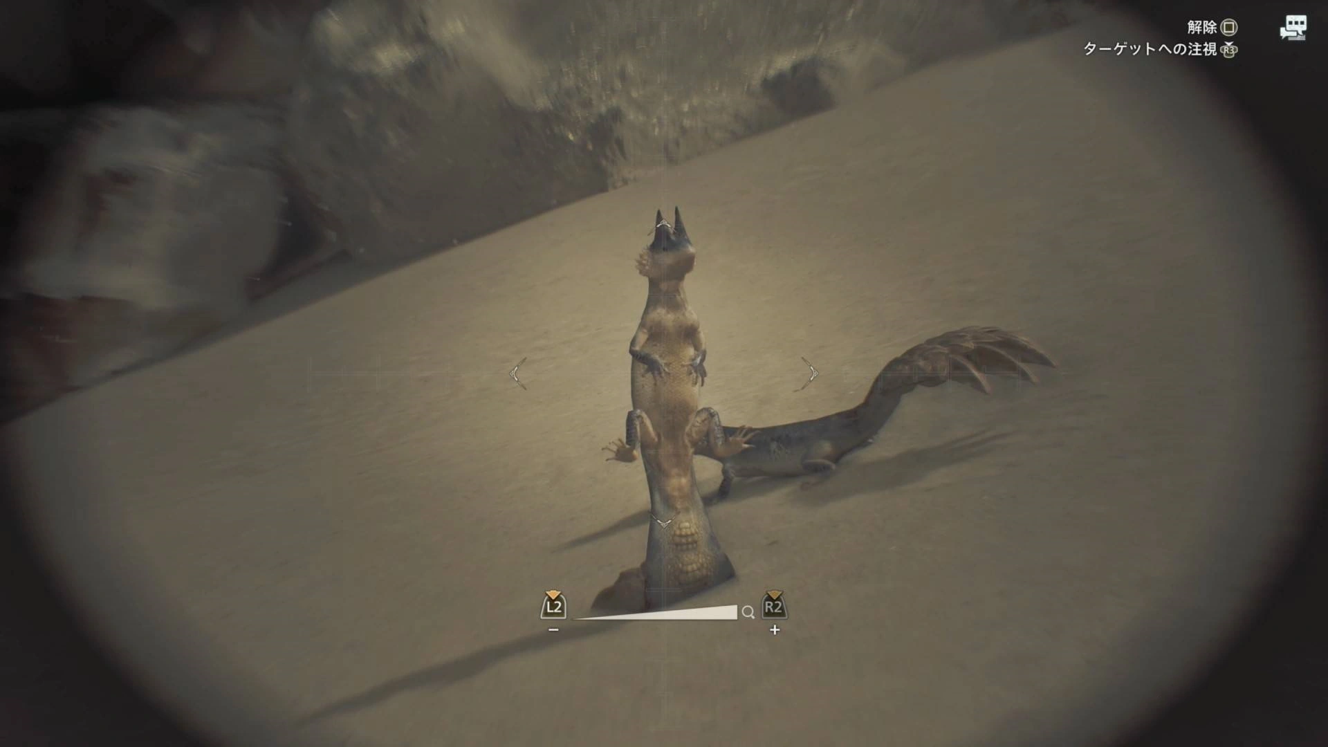 《怪物猎人荒野》“足迹蜥蜴”位置及捕获方法，足迹蜥蜴在哪抓