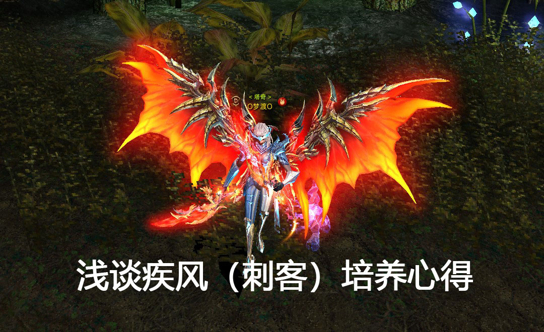 浅谈疾风(刺客)培养心得